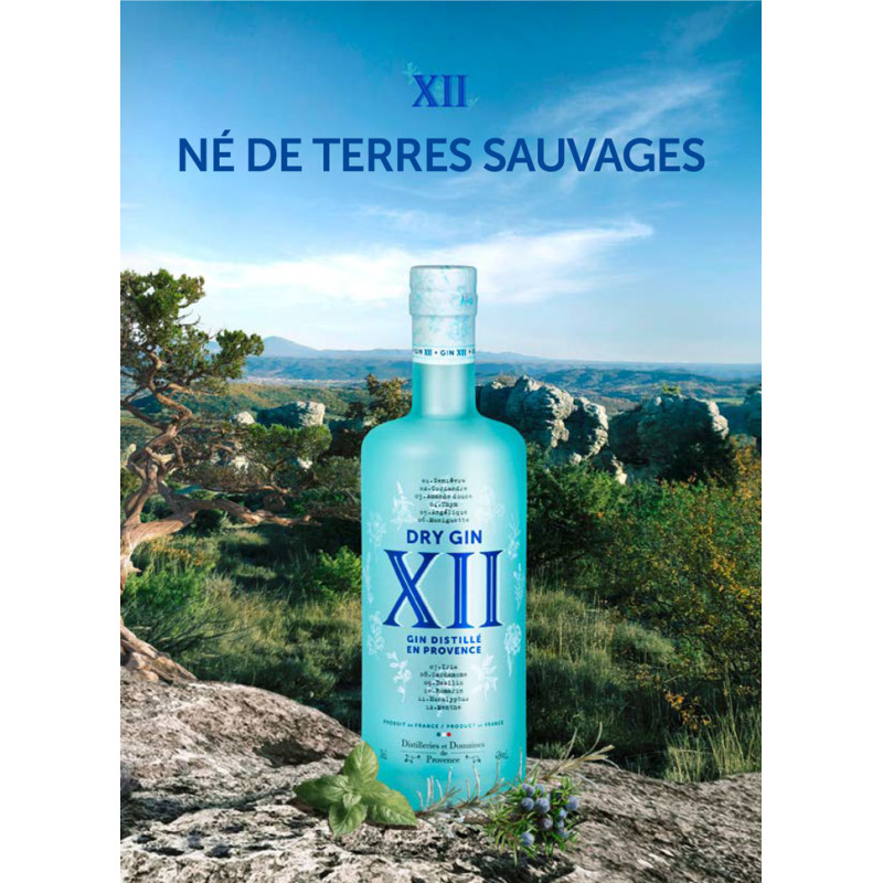 gin XII 70cl