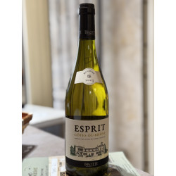 ESPRIT Côtes-du-Rhône Blanc 2023 | Maison Molinet