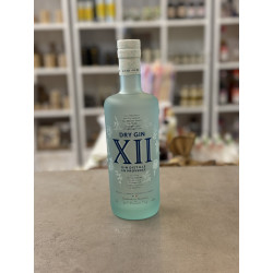 gin XII de Forcalquier