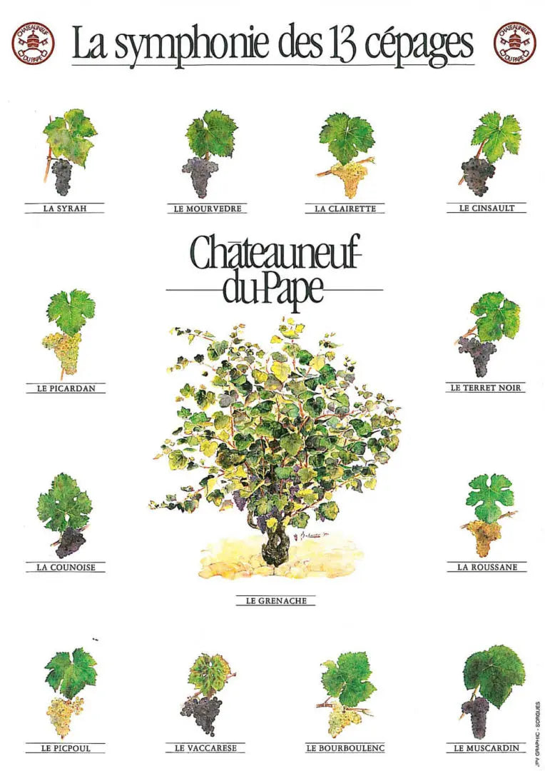 Les 13 Cépages de Châteauneuf-du-Pape : Découvrez l’Art du Terroir