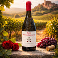 Clos des Terres Blanches – Châteauneuf-du-Pape Rouge 2024 Maison Molinet