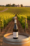 Vigne & terroir