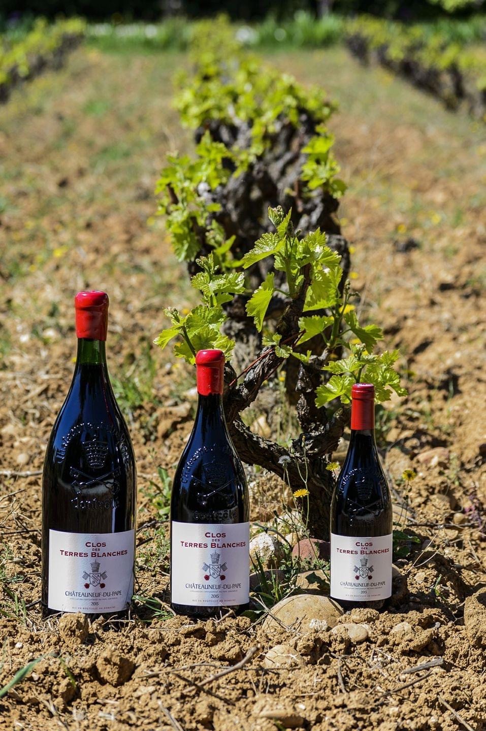 À la découverte du Clos des Terres Blanches : un trésor caché à Châteauneuf-du-Pape